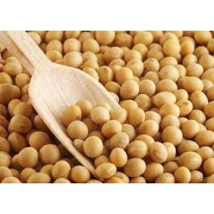 Soja em Grãos Kg